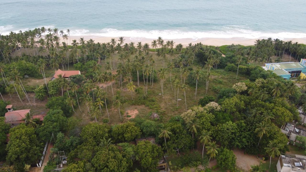 Turtle Wood Cabin Tangalle Exterior photo