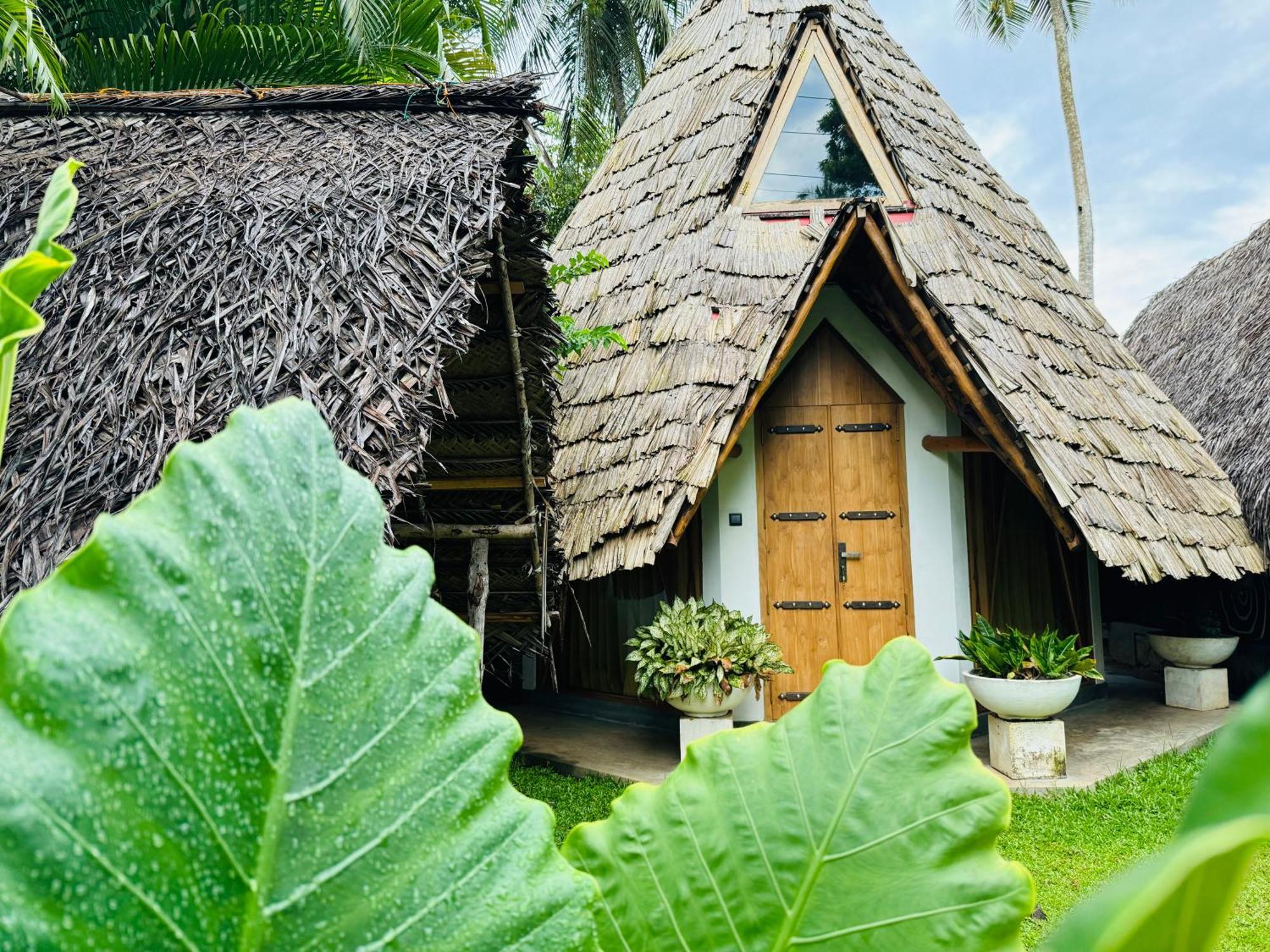 Turtle Wood Cabin Tangalle Exterior photo