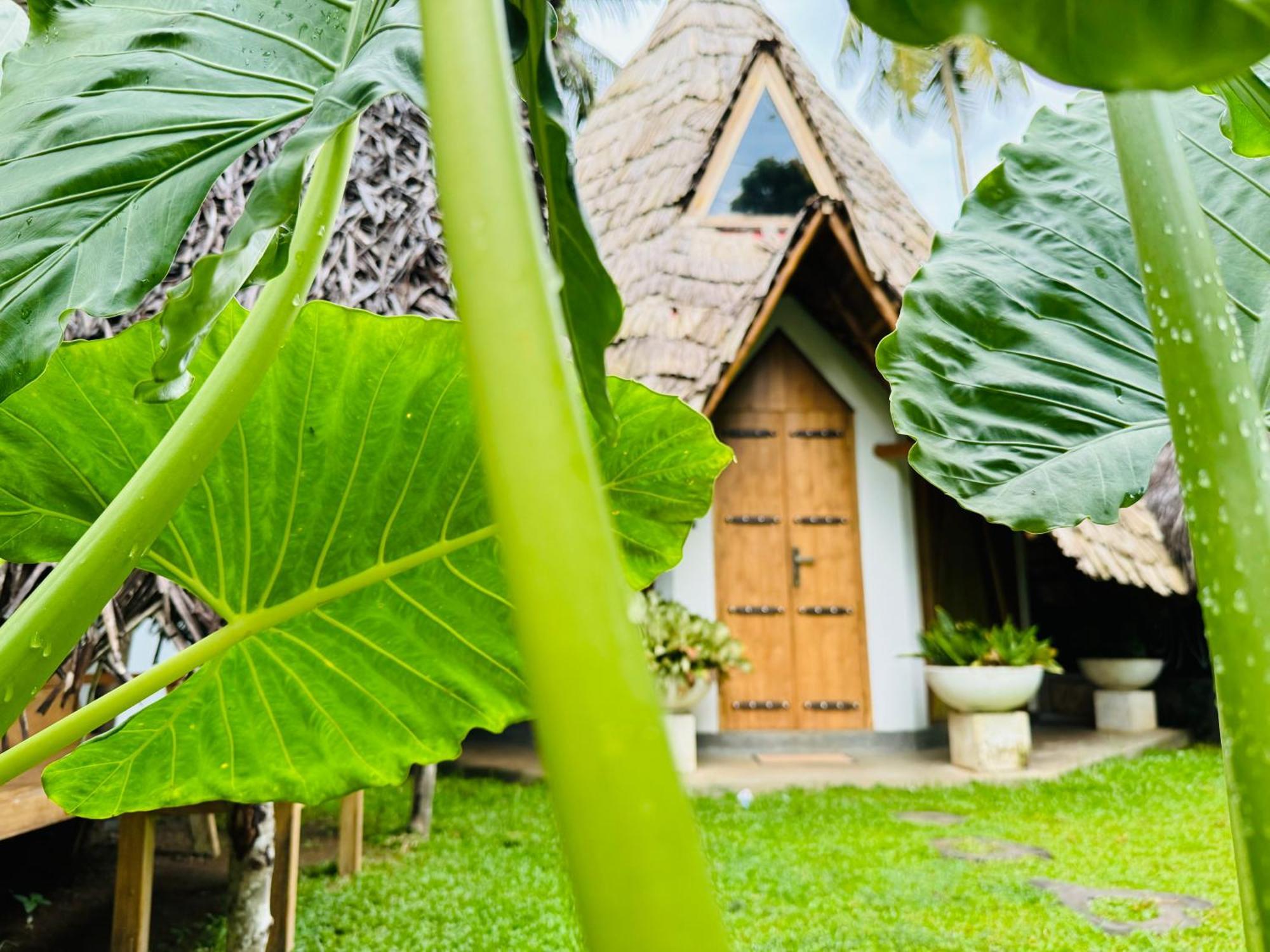 Turtle Wood Cabin Tangalle Exterior photo