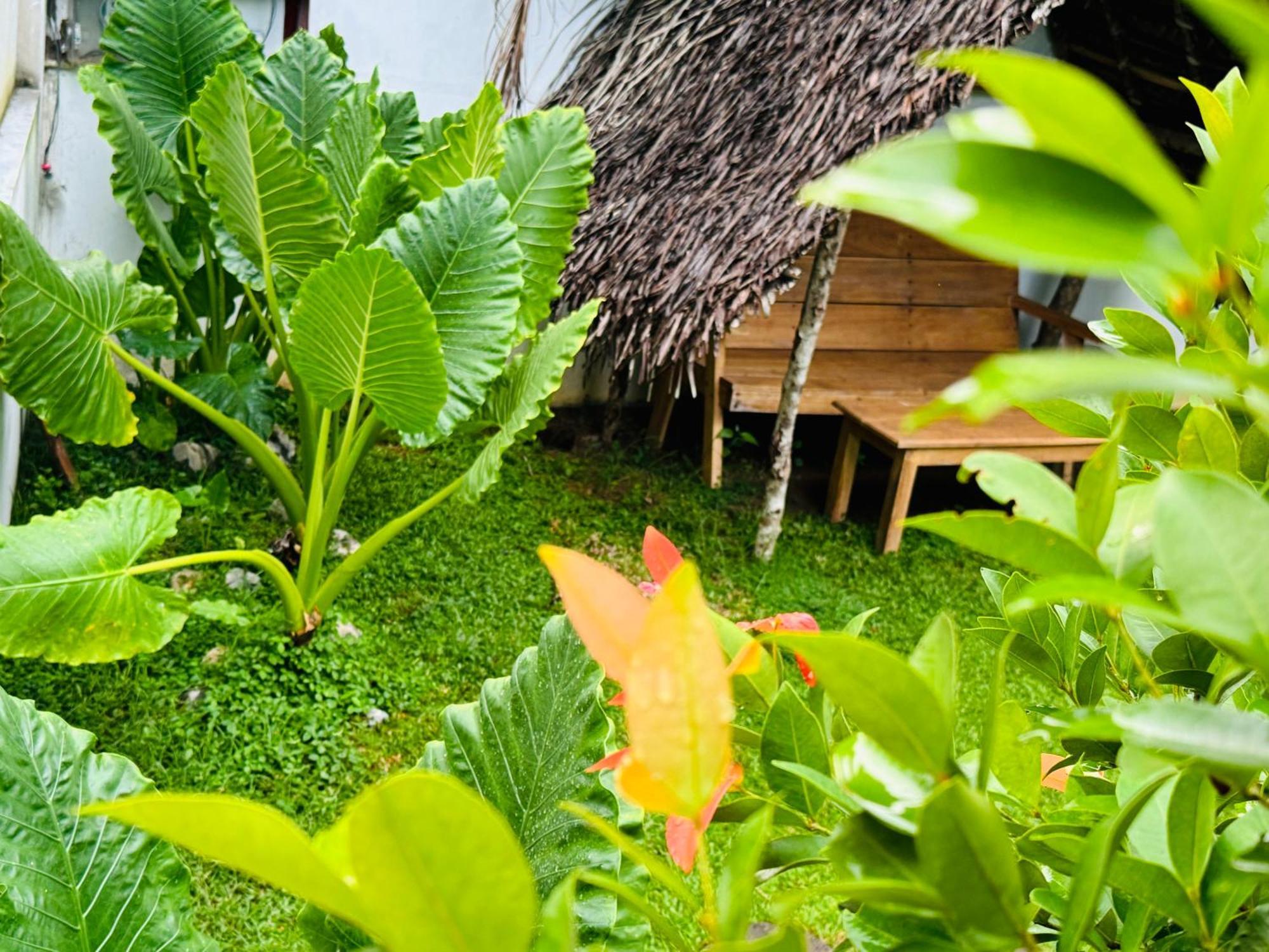 Turtle Wood Cabin Tangalle Exterior photo