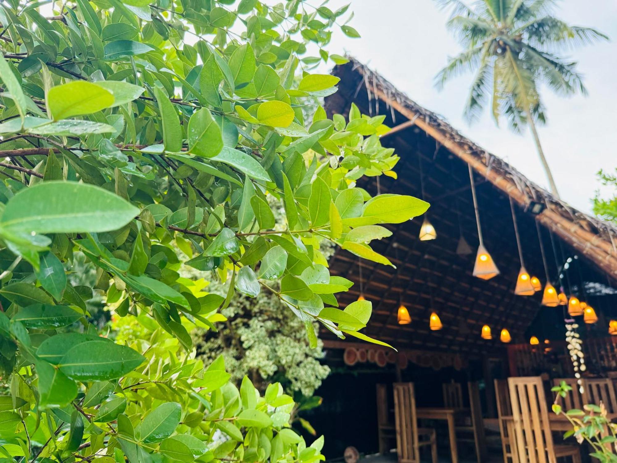 Turtle Wood Cabin Tangalle Exterior photo